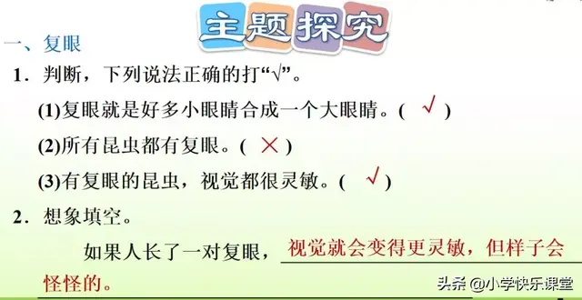 什么的硬翅，什么的硬翅？填四个字。（小学部编三年级语文下第4课《昆虫备忘录》图文+知识点+同步练习）