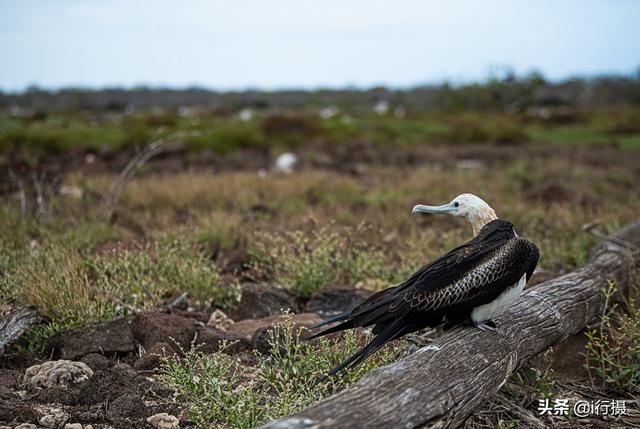 厄瓜多尔在哪里，厄尔多瓜具体在哪里（走进厄瓜多尔——世界上唯一以“赤道”命名的国家）