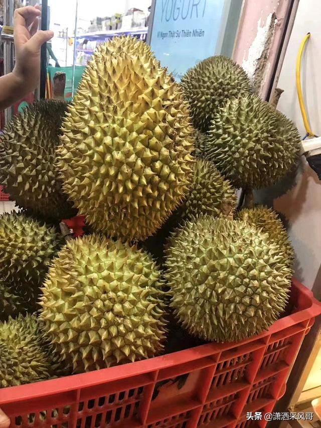 2021年立冬后天坑方位在哪里 2021年立冬后犯天坑方带貔貅化解不顺，2021年立冬后天坑方位在哪里（悔青肠子的越南芽庄之行）