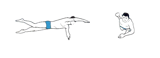 蛙泳口诀四句话，蛙泳换气口诀四句话（四种常见游泳方式口诀大全）