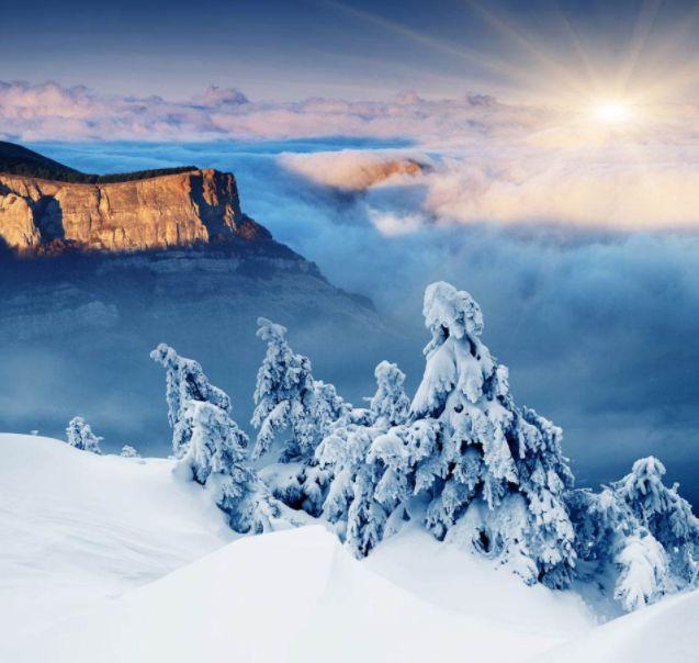 松的诗句，梅的诗句有哪些（待到雪化时—那些关于松与雪的诗词）