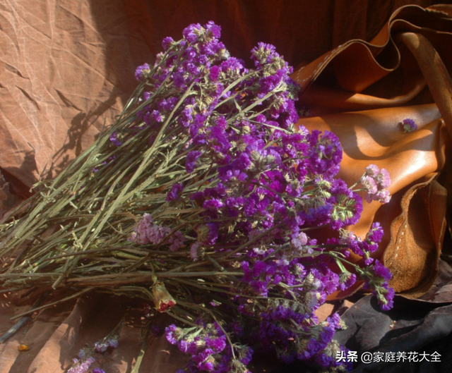 鲜花保鲜的方法，鲜花怎么保鲜（鲜花保存有技巧）