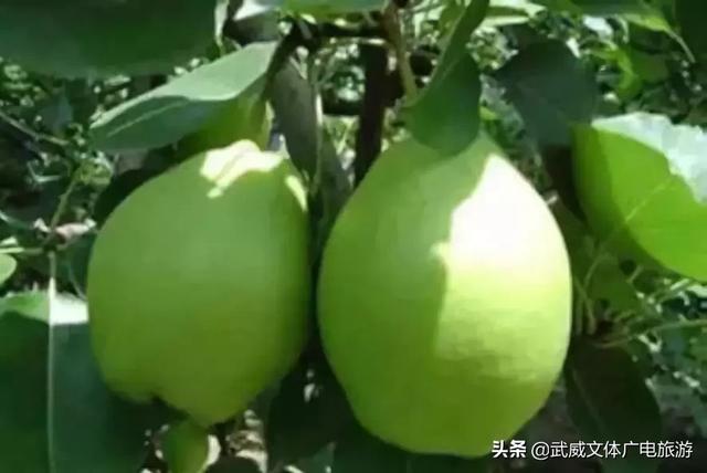 0935是哪的区号,095是哪个地方的区号(这是我2019年最新简历) 0935是哪的区号,095是哪个地方的区号(这是我2019年最新简历)