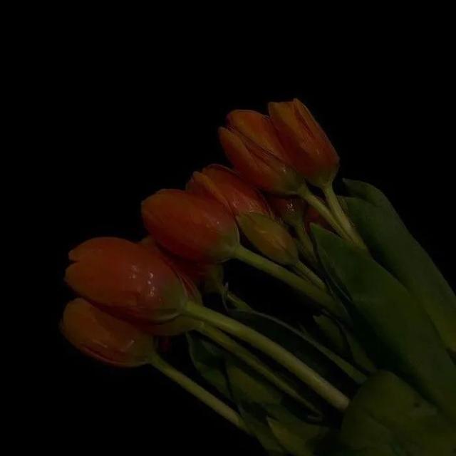 好看唯美背景图，好看唯美的背景图片（个性唯美的背景图+头像套图）