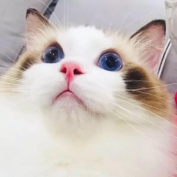 孔刘表情包！！！太帅了，微信头像，孔刘表情包！！！太帅了（我们从你的微信头像）