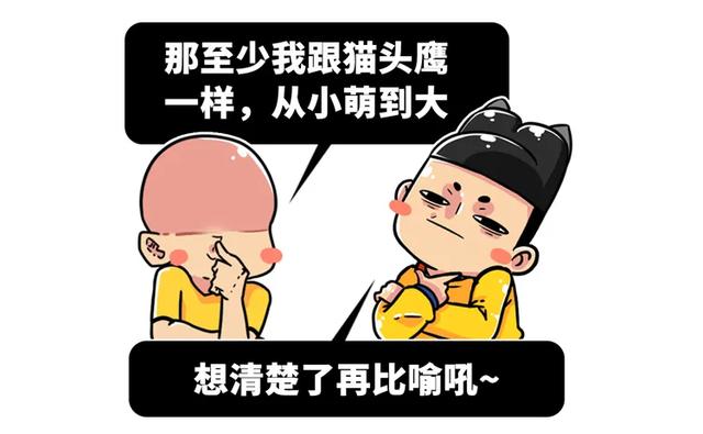 养雪鸮犯法吗，宠物雪貂多少钱一只（猫头鹰的构造原来这么奇葩）