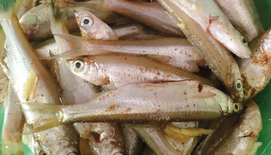 圖片[2]-【香煎小魚(yú)】做法步驟圖 不粘鍋 香酥美味-起舞食譜網(wǎng)