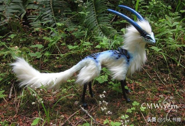 有哪些神奇的动物，15种你需要了解的神奇动物（10种不寻常的神奇动物很难想象它们独特的模样）