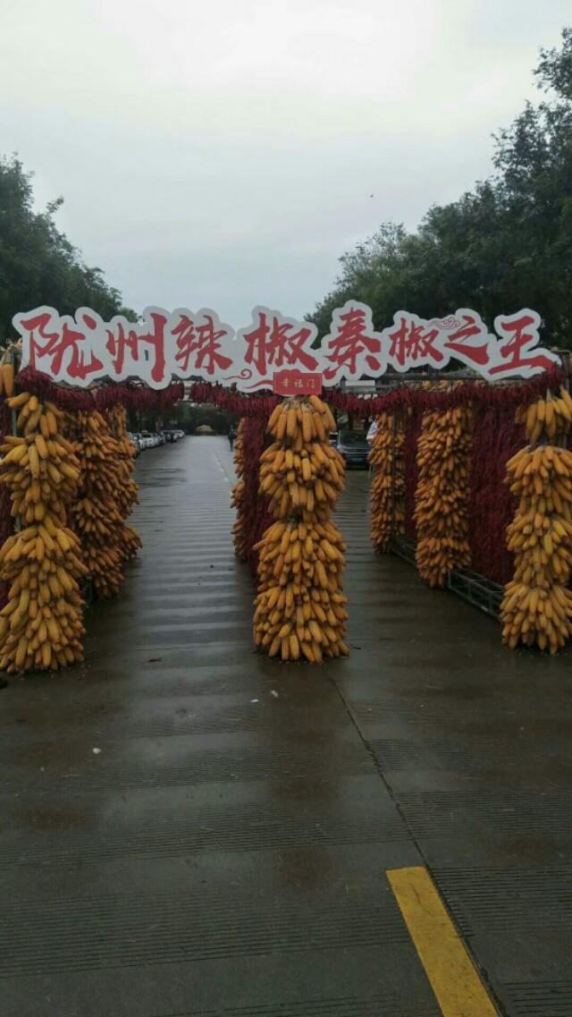 飞鸟与鱼的故事，飞鸟和鱼的故事（胡萝卜    体裁：童话）