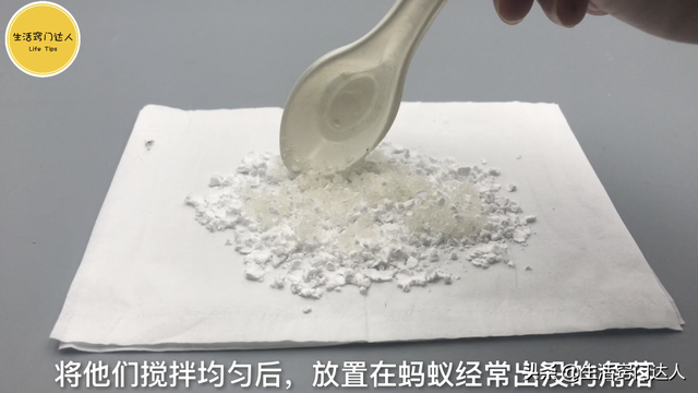 怎么消灭蚂蚁，驱赶蚂蚁别用灭虫剂