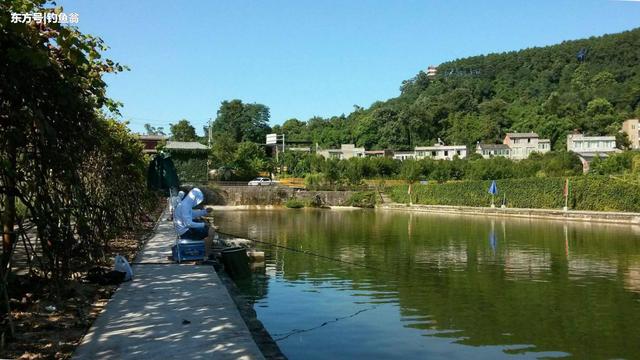 黑坑十大禁用饵料，黑坑用什么饵料（并非因为水质，阻你上岸才是真）