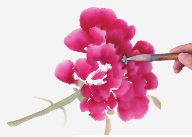 牡丹花简笔画简单又好看，简笔画画牡丹花（适合零基础绘画者学习）