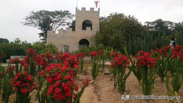 东莞梦幻百花洲，东莞梦幻百花洲怎样（梦幻百花洲）