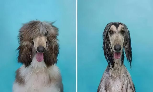 头发变粗硬方法，头发变粗硬方法是什么（关二哥喷雾让你去油蓬松、持久定型）