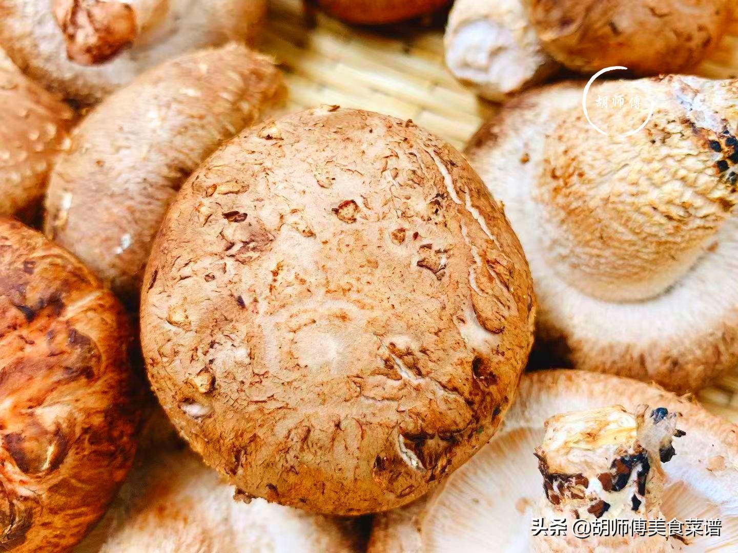 白色香菇图片,买"轻的"还是"买重"的 - 玉三网