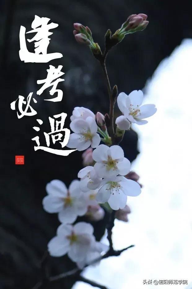 半角空格和全角空格区别，半角空格怎么打（这这这，事关考试，你都不看）