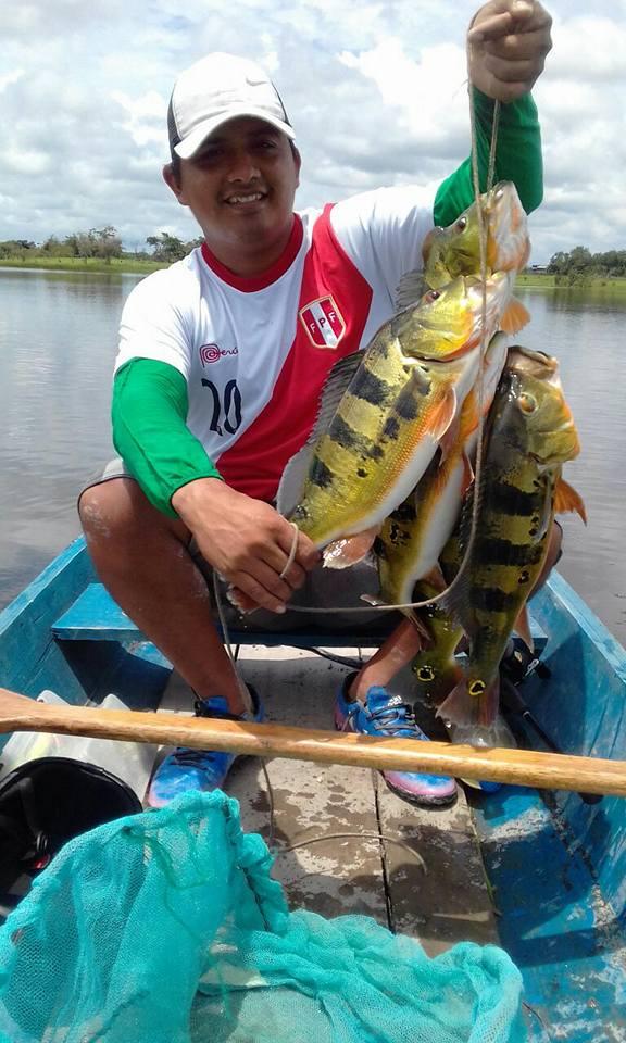 帝王三间和巴西亚鱼有什么区别，巴西亚鱼与皇冠三间鱼有什么区别（也许等不到中国钓鱼人就被消灭光了）