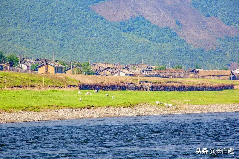长白山多少钱一包()