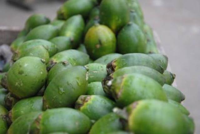 此植物的果实危害大，槟榔果怎么吃