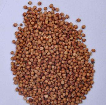 怎么查询鸽子的成绩，怎么查找鸽子的成绩（学习强豪养鸽秘诀）