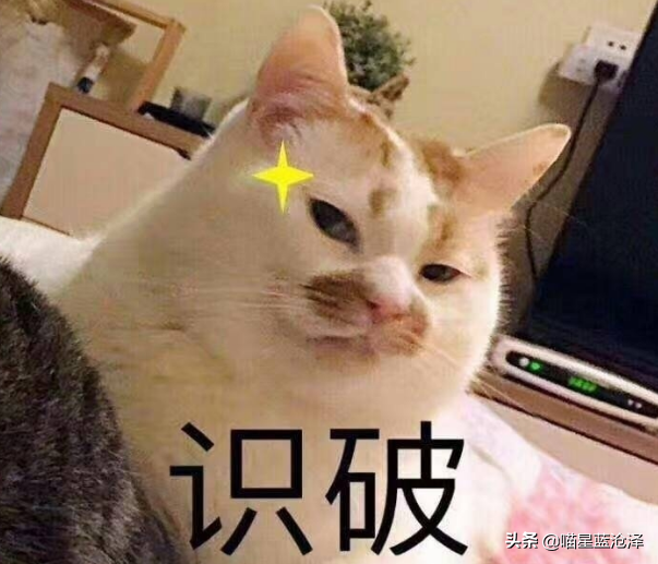 猫白细胞正常多少正常 猫白细胞数量正常范围