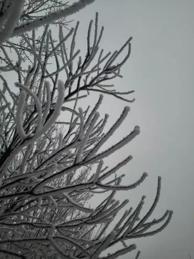 冬天的雪，冬天的雪是什么仿写一段话（散文《冬天的雪》）