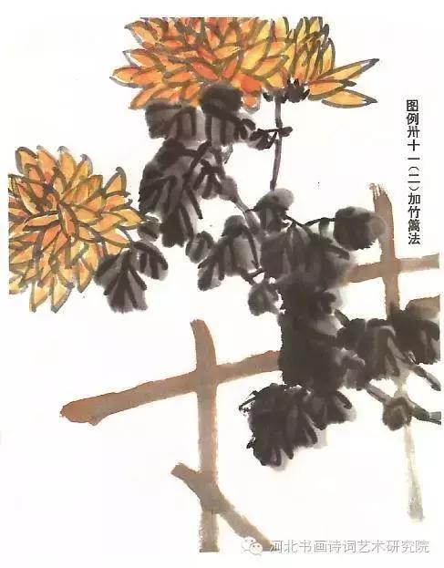 花的画法——菊花的画法，菊花是怎么画（菊花画法大全）