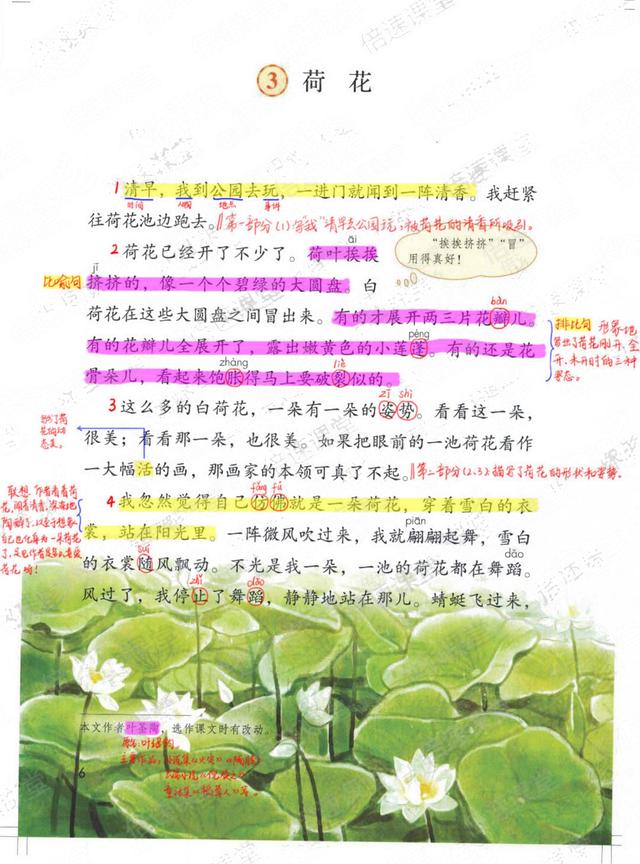 独角仙的特点是什么，独角仙的特点是什么什么,分别用了什么什么什么的方法（三年级语文下《第一单元课堂笔记》三个版本）