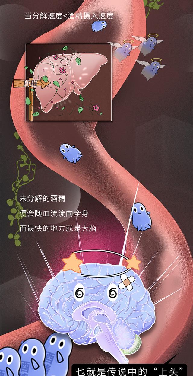 喝酒止吐最有效最快的方法，醉酒后如何快速解酒方法（喝酒有害，吃什么能快速解酒）