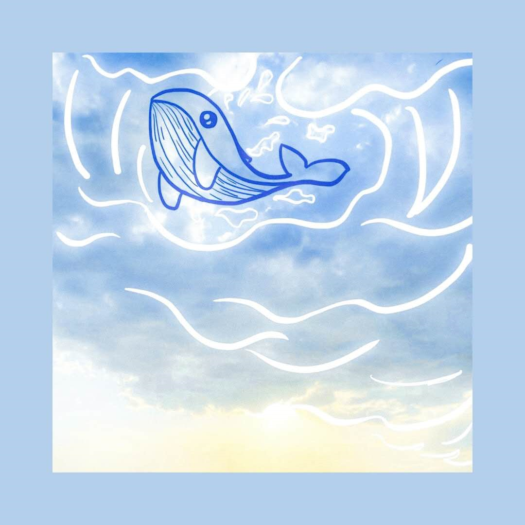 怎么画肖战简笔画，肖战的画法简笔画（肖战——本是一个优秀的设计师）