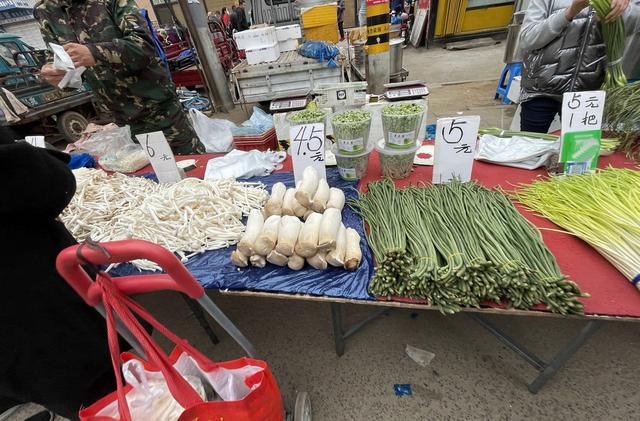 辽宁最穷十大城市排名，辽宁最穷的五个市（本溪、铁岭、阜新谁能在2019翻盘呢）