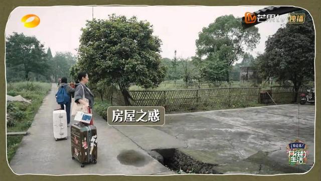 向往的生活彩灯是什么品种，向往的生活里的彩灯是什么动物（那英成《向往的生活》最“炸场”嘉宾）