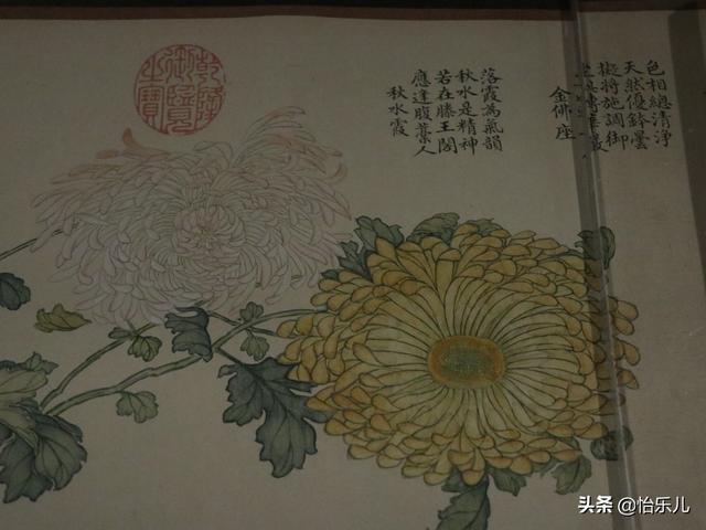 葩的读音（葩怎么读，葩是什么意思（金佛座、搓粉妆、绶带紫、鹤头丹）