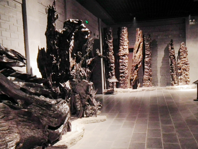 阴沉木市场价格，阴沉木价格！（40米阴沉木现身四川一工地）