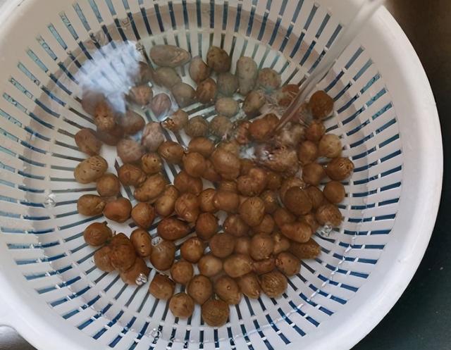 山药豆做法是什么，山药豆有什么做法（遇见山药豆多囤点）