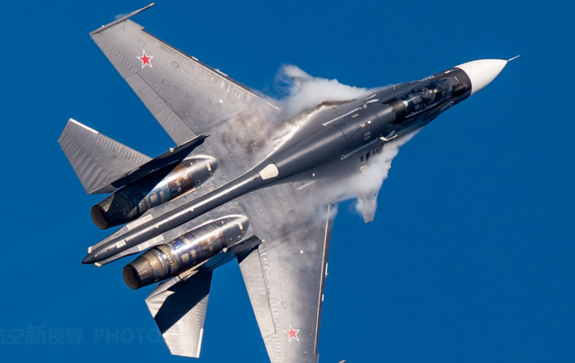 什么是侧卫家族，什么是侧卫家族族谱（到底哪家苏30最强）