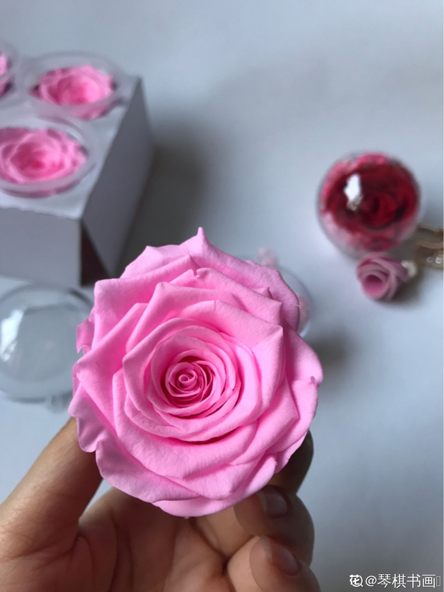 怎么做干花，干花的制作方法，必须要掌握（怎么做干花）