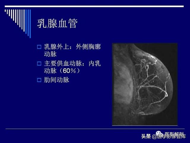 乳房解剖学基础知识，乳腺解剖及乳腺各病变影像诊断与鉴别