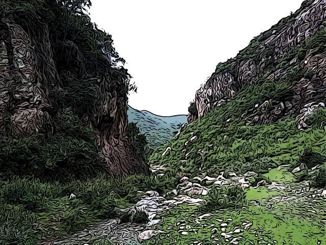 不及是什么意思，过往不及是什么意思（庄子-逍遥游<五>）