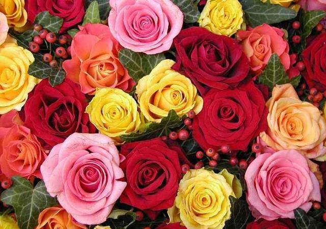 情感散文：善待每一个遇见，情感散文伤感文章（这份爱在时光深处为你静水流深）