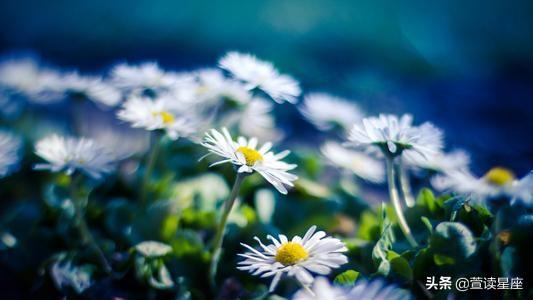 紫微星三月结交新朋友，图（3星座财来迅猛）