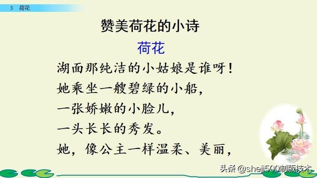莲蓬的蓬是不是读轻声，莲蓬的蓬为什么读轻声（部编版语文三年级下册第3课《荷花》图文讲解）