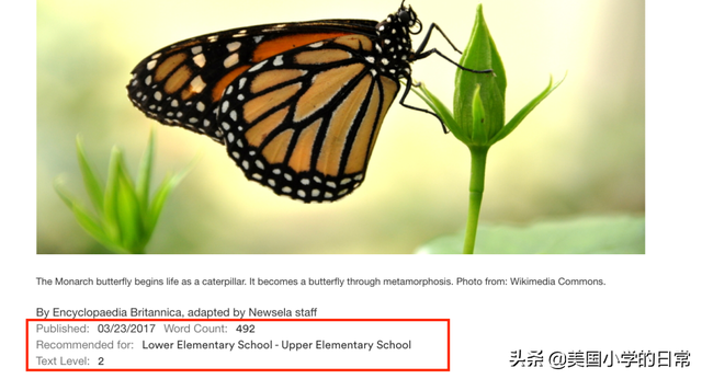 背单词网站，背单词app（孩子暑假每一天都过得有意义）