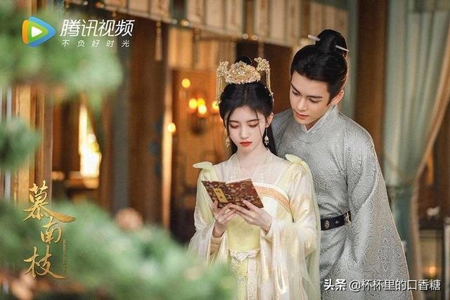 闪婚之先婚后爱，类似先婚后爱闪婚小说（杨紫成毅先虐再更高虐）