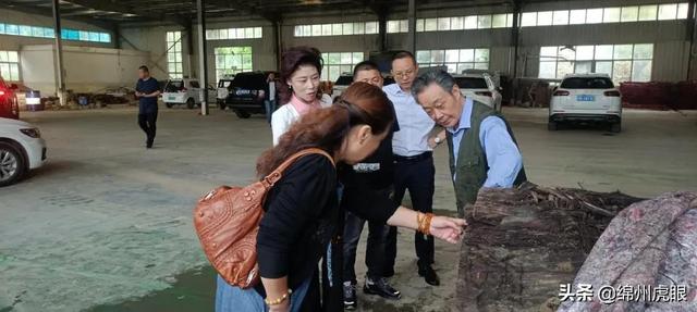 千年乌木被暂扣，常见菩提子图鉴（3000年生生不息的争端在这里完美终结）