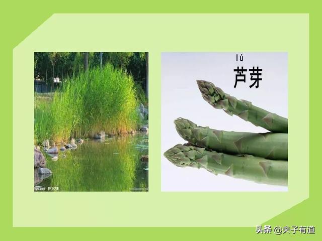 鸯字怎么组词，鸯字怎么组词三年级（部编版语文三年级下册第一单元汇总）