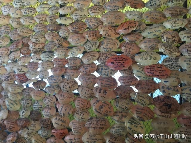 去日本旅游坐船要签证吗，去日本旅游可以坐船去吗（顺带去下印尼民丹岛超划算）