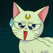 汤姆猫的各种问号，微信头像，汤姆猫的各种问号（动漫界最著名的十只猫）