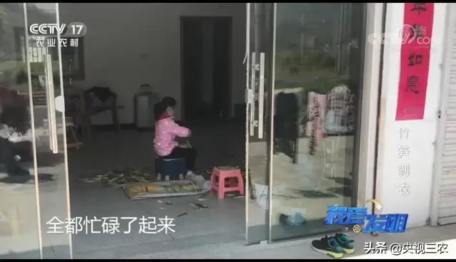 竹笋怎么剥皮，新鲜竹笋怎么剥皮详细图解（有了“王万能”发明的神器）