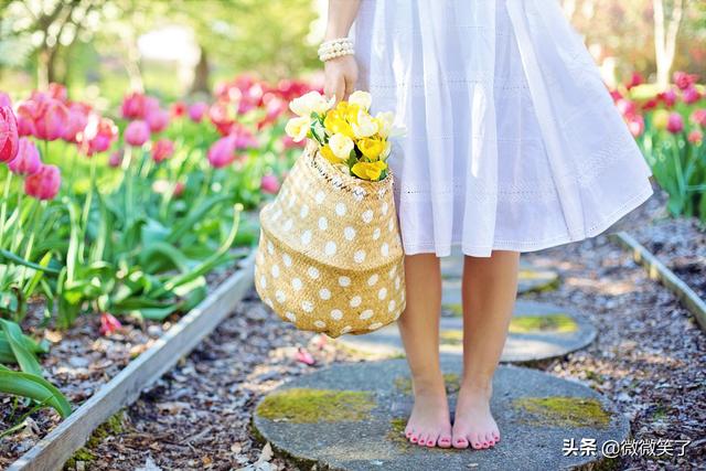 聪明的女情人不要钱，不要钱的情人是不是傻（肯为你花钱，对你好，就是真爱）